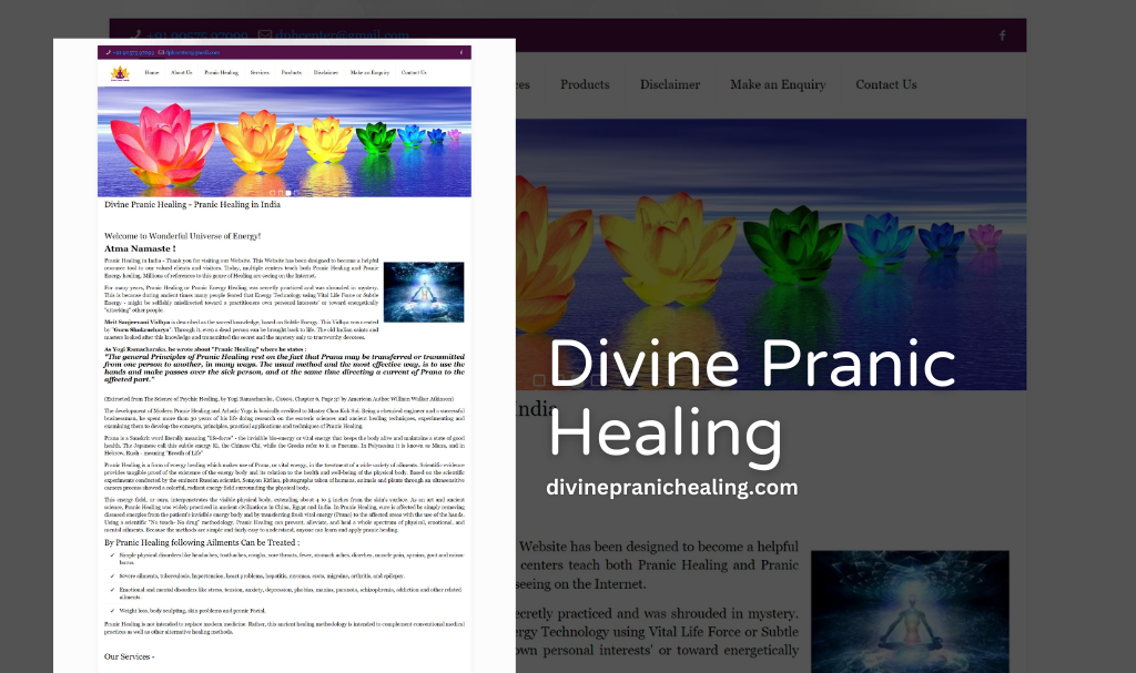 Pranic Healing, Yoga Website Designer in Udaipur, Rajasthan, India