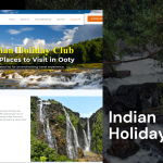 custom tour company website designer udaipur