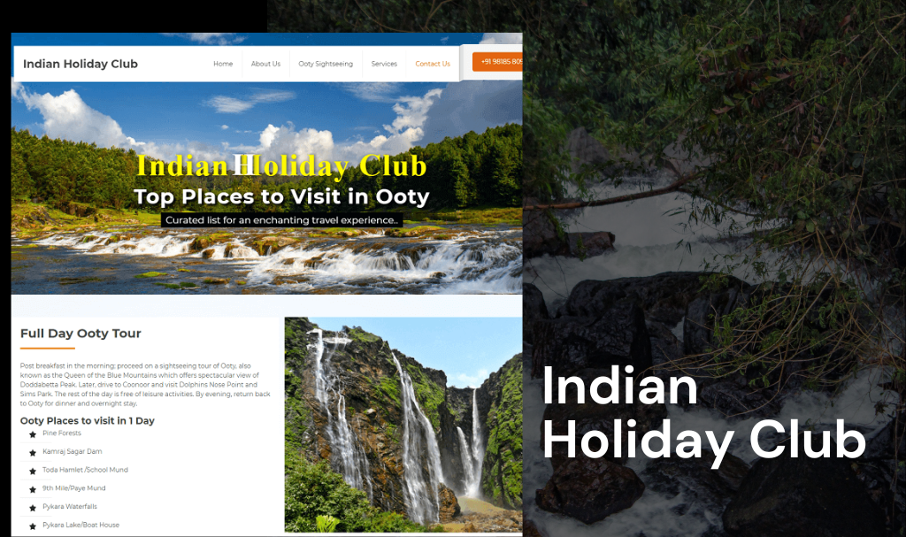 custom tour company website designer udaipur