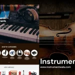 Musical Products Website Designer in Udaipur, Rajasthan, India