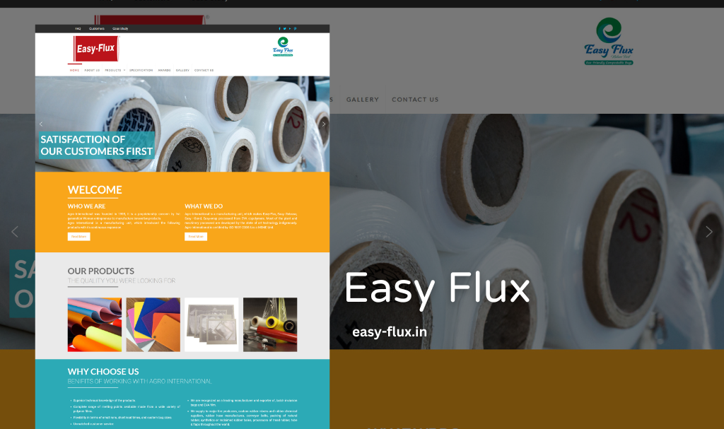 Eva Bags and Embossed Poly Website Designer in Udaipur, Rajasthan, India