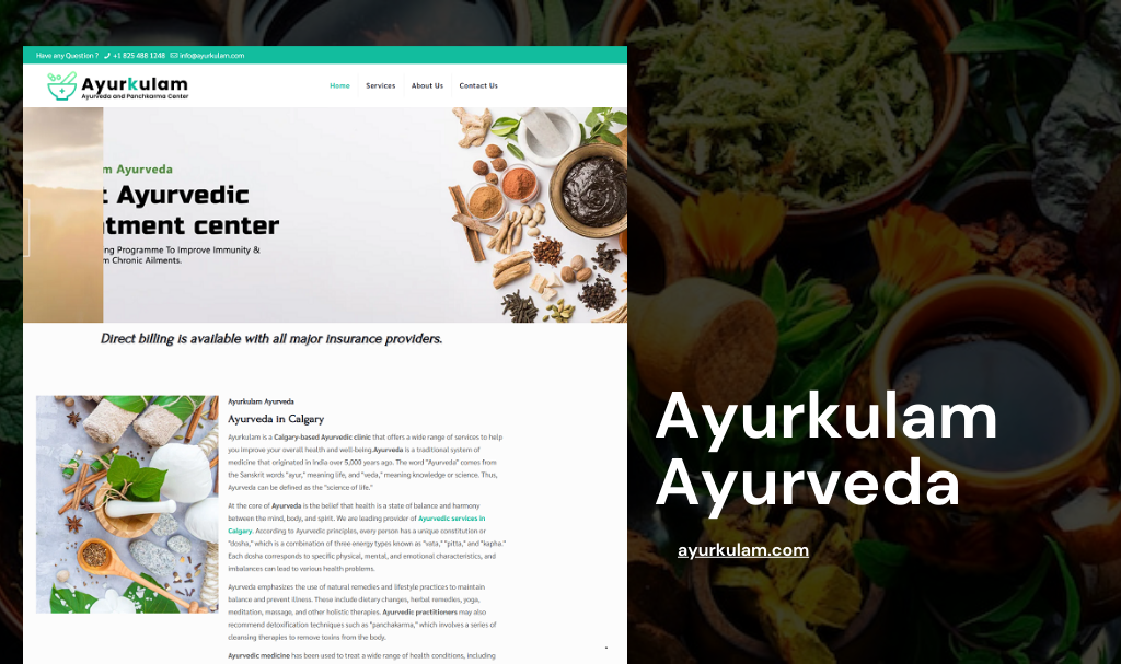 Ayurveda Consultant Website Designer in Udaipur