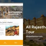 Tour services Website Designer in Udaipur