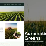 Professional Website Design for Vermiculite Manufacturers