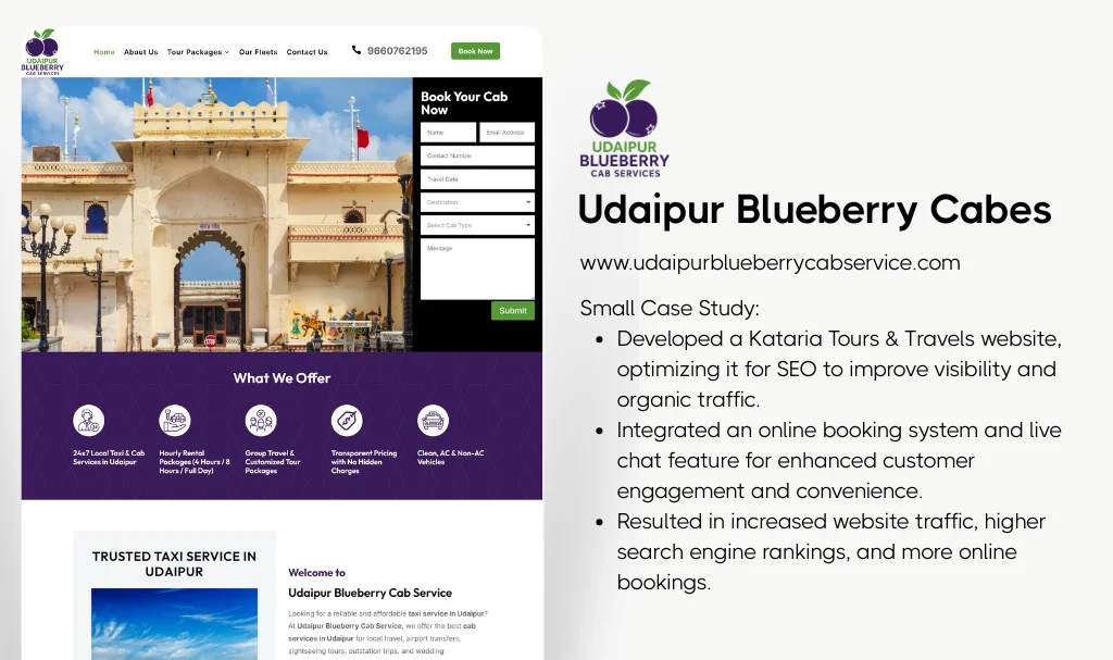 Udaipur Blueberry Cab Service